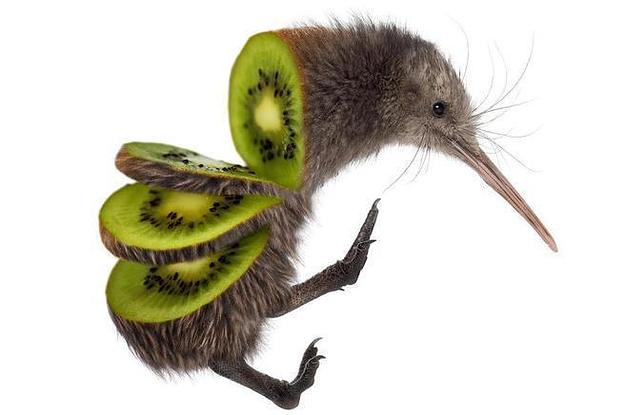 Kiwi